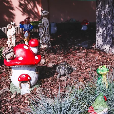 Szivárvány Panzió Bed & Breakfast Szeged