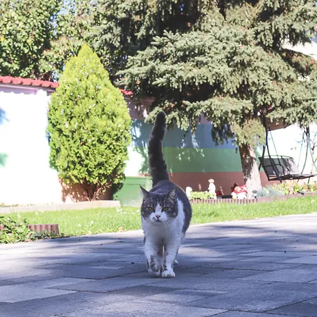 Szivárvány Panzió Alojamento de Acomodação e Pequeno-almoço 2*