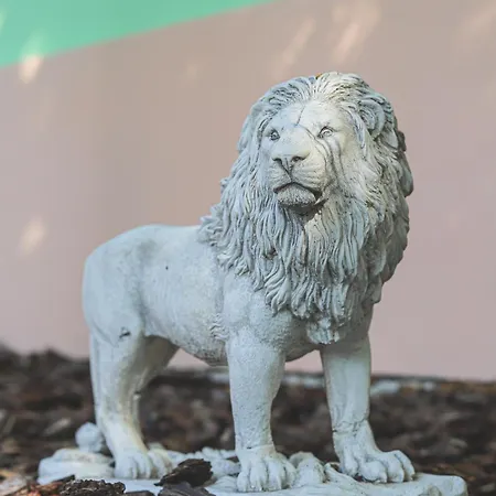 Szivarvany Panzio סגד