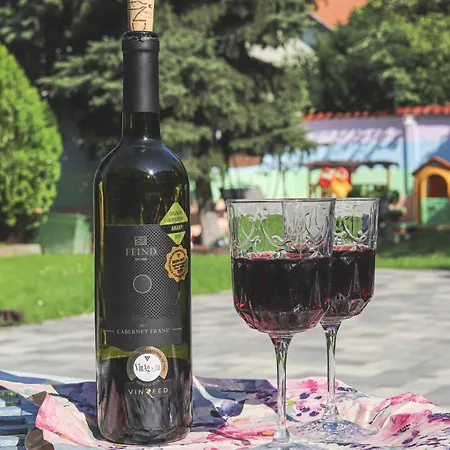 Bed & Breakfast Szivarvany Panzio Szeged