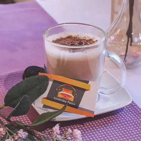 Bed & Breakfast Szivarvany Panzio Szeged