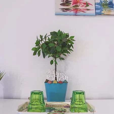 Bed and breakfast Szivárvány Panzió