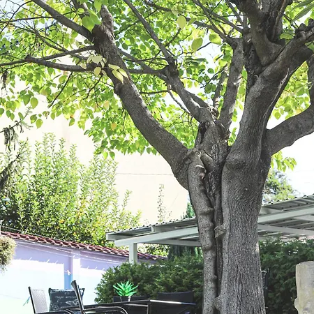 Szivárvány Panzió Szeged