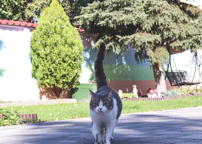 Szivarvany Panzio Frühstückspension 2*